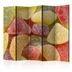 Paraván Tasty fruit jellies Dekorhome 135x172 cm (3-dielny)