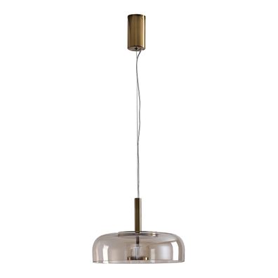 LED Luster na lanku LED/8W/230V 3000K pr. 30 cm