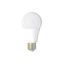 Ecolite LED15W-A60/E27/2700 - LED Žiarovka A60 E27/15W/230V 2700K