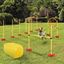 Prekážky agility pre psy s tunelom a kruhom