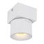 Globo 56961-1W - LED Nástenné bodové svietidlo RAE LED/6W/230V biela