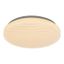 Rabalux 2675 - LED Stmievateľné stropné svietidlo MILENA LED/24W/230V