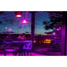 Immax NEO 07745L - LED RGB+CCT Stmievateľná žiarovka E14/6W/230V 2700-6500K Wi-Fi