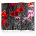 Paraván Red Poppies Dekorhome 225x172 cm (5-dielny)