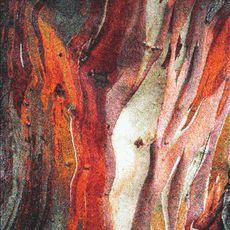 Spoltex Kusový koberec Rust red 21304-910 - 80x150 cm
