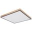 Globo LED PANEL, 59/59/6,5 cm