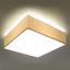 Stropná Lampa Montana 35 WHITE A-13