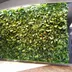 Vertical garden Exotic Vibe