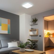 Brilagi - LED Stmievateľné stropné svietidlo SMART LED/28W/230V Wi-Fi Tuya + DO