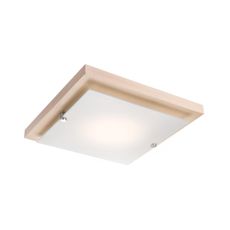 LED stropné svietidlo 1xLED/12W/230V buk