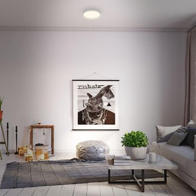 Briloner 3700-014-LED Stropné svietidlo RUNA LED/16W/230V 3000K pr. 28cm strieborná