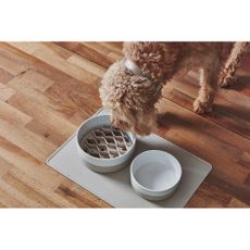 Silikónová protihltacia vložka do misky pre psa ø 15 cm Lento Greige S/M – MiaCara