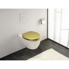 Záchodová doska 38 x 41 cm Aldeno – Wenko