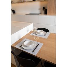 Plastové prestieranie 33x45 cm Fallon – ZicZac