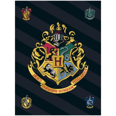 Fleecová deka Harry Potter s erbom školy čarodejníckej na Rokforte - Polar Fleece - 100 x 140 cm