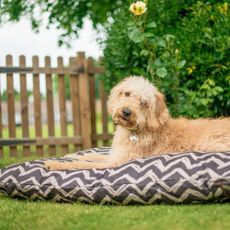 Čierny pelech pre psa 90x120 cm Outdoor Bed Barn Raven Black L – P.L.A.Y.