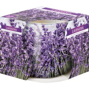 Vonná sviečka v skle Lavender 100 g, 7,2 cm