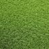 Artificial grass specialists AKCIA: 110x190 cm Umelá tráva Rosalia metrážna - Rozmer na mieru cm