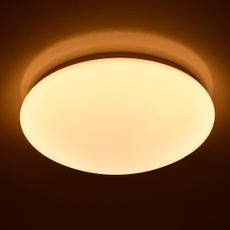 Brilagi - LED Stropné svietidlo OPAL LED/24W/230V