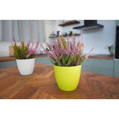 Gardenico Kvetináč Ella matt biela, pr. 18 cm, pr. 18 cm