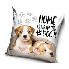 Vankúš s psíkmi - motív Home is where the dog is - Domov je tam, kde je pes - 40 x 40 cm