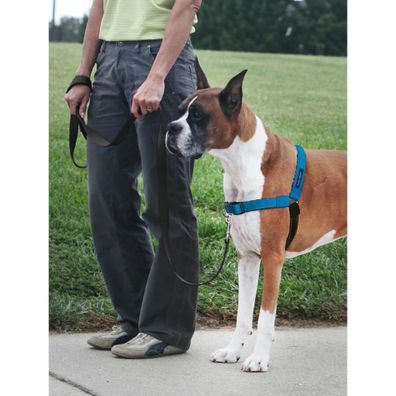 PetSafe Postroj EasyWalk Deluxe modrý veľkosť M