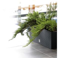 NABBI DRTC800 samozavlažovací plastový kvetináč 80 cm hnedá