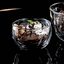 Termomiska na zmrzlinu, ovocie, jogurt, set 2 ks, 300 ml, HOTCOLDER TYP 21