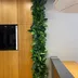 Vertical garden Tropical Freshness