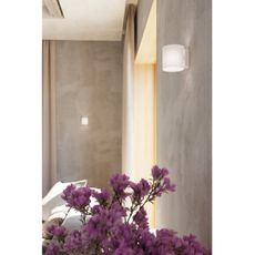 Sollux SL.0211 - Nástenné svietidlo VICI 1xG9/40W/230V sklo/biela
