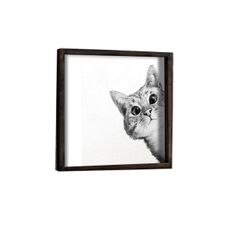Wallity Nástenný obraz Cat 33x33 cm čiernobiely
