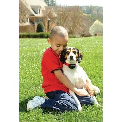 PetSafe® Obojek proti štekaniu