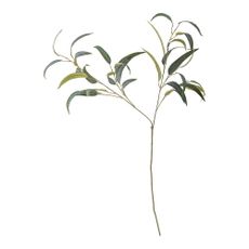 Umelý eukalyptus (výška 101 cm) – Bloomingville