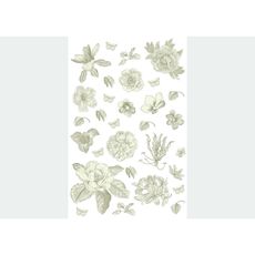 Samolepiaca dekoracia Old Graphics Florals, 42,5 x 65 cm