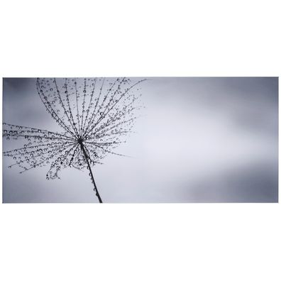 Monee UMELECKÁ TLAČ, krajina a príroda, kvety, 120/55 cm