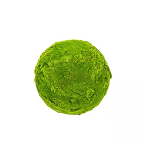 Decorative Moss Ball 35 cm