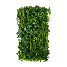 Vertical garden Green Ivy