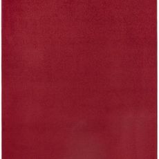 Hanse Home Collection koberce Kusový koberec Fancy 103012 Rot - červený - 100x150 cm