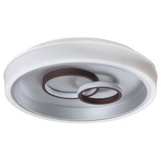 Rabalux - LED Stropné svietidlo LED/40W/230V okrúhly