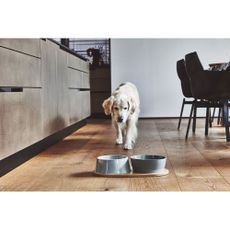 Porcelánové misky v súprave 2 ks ø 21 cm Doppio Concrete M/L – MiaCara