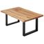 Linea Natura KONFERENČNÝ STOLÍK, čierna, farba duba, drevo, kov, 110/70/45 cm
