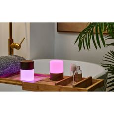 Tmavohnedá stmievateľná stolová lampa so skleneným tienidlom (výška 10,5 cm) Lemelia – Gingko