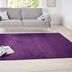 Hanse Home Collection koberce Kusový koberec Nasty 101150 Purple - 67x120 cm