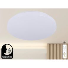 LED Stmievateľné stropné svietidlo s hlasovým ovládaním OPAL LED/48W/230V + DO