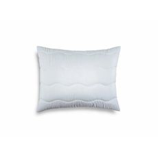 Vankúš Aloe Vera 90X70cm TiaHome