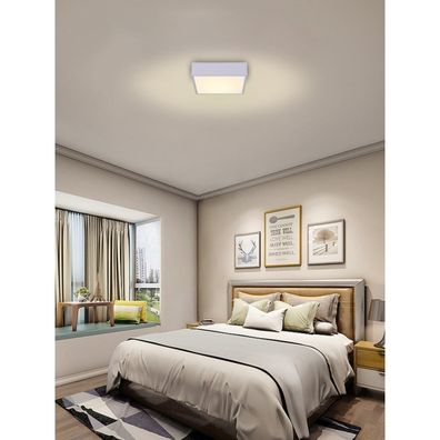 Immax NEO 07238L - LED Stmievateľné stropné svietidlo CANTO 22W/230V biela Tuya +DO