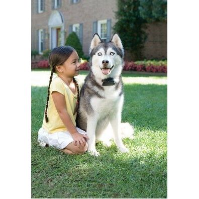 PetSafe® Elektrický ohradník pre psov Super