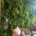 Vertical garden Alpine