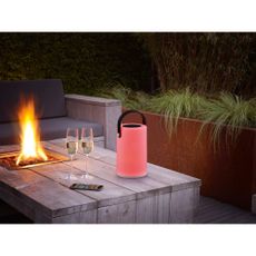 LED solárne vonkajšie svietidlo (výška 21 cm) Garcia – Trio