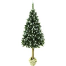 Vianočný stromček na kmeni 220 cm jedľa